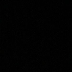 Meet your Posher, Izzy